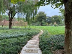 -东方绿舟景区