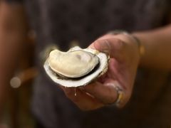 -土蚝·高压锅生蚝(百姓美食街店)