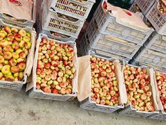 -东方鼎信农副产品交易中心