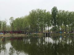 -东郊湿地公园