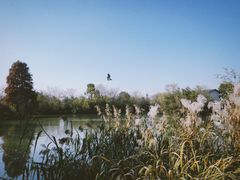 -新荣记(西溪湿地店)