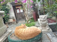 -三溪村
