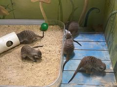 -广州长隆野生动物世界