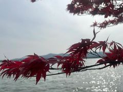 -石湖景区