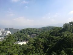 -金鸡山公园