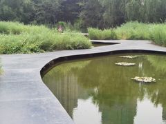 -长白岛森林公园