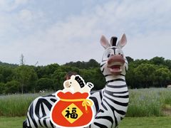 -苏州上方山国家森林公园