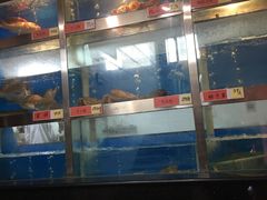 水产区-红门金汤·港式火锅(英皇集团中心店)