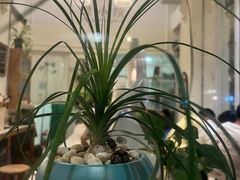 -绿小院(荔湾店)