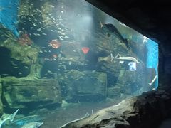 -石家庄海洋公园