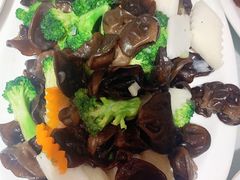 -添福来墨鱼饺子 · 海鲜东北菜(泡崖店)