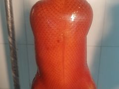 -上海莎海国际酒店