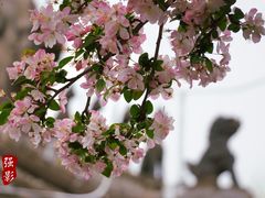 -恭王府博物馆