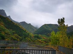 -云岫谷游猎自然风景区