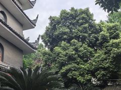 -生宇山珍野生菌汤锅•始于1999(双流古塔店)