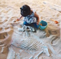 -恐龙探索乐园(磁器口店)