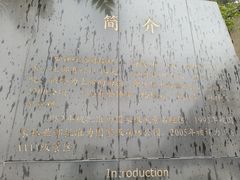 -磬锤峰森林公园