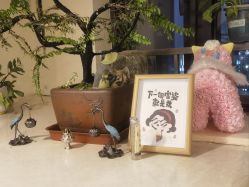-珍贞佰俪·针清祛痘印敏感管理