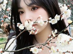 -香雪海