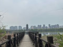 -洋湖国家湿地公园