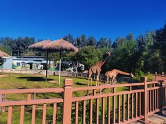 -北京野生动物园