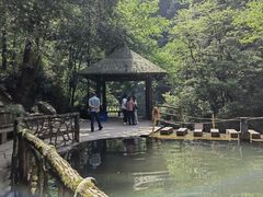 -碧峰峡风景区