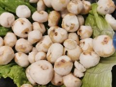 -东椰·海南椰子鸡火锅(朝阳门店)