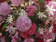 -Peet's Coffee皮爷咖啡(豫园店)