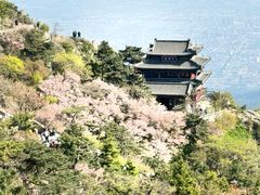 -泰山风景名胜区