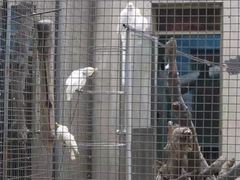 -石家庄市动物园