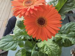 -三忘湖 SWANSEEN(柳荫公园店)