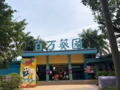 -百万葵园