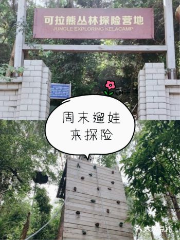 可拉熊丛林探险营地周末遛娃安排起来