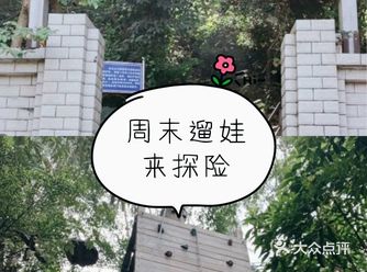 可拉熊丛林探险营地周末遛娃安排起来