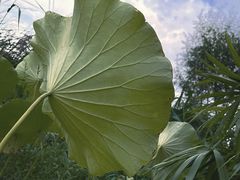 -Supine Bistro溯泮餐厅