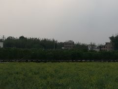 -天适樱花悠乐园