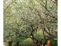 -七彩云南古滇温泉山庄