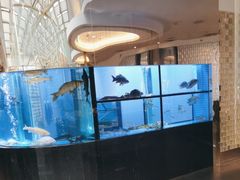 -王家渡火锅店(棕榈泉店)