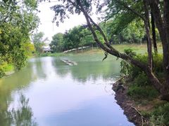 -贡湖湾湿地公园