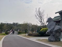-王借岗森林公园