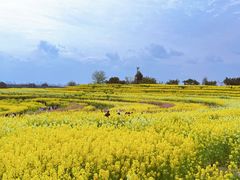 -三圣花乡旅游区