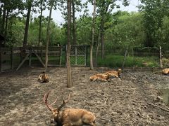 -溱湖国家湿地公园