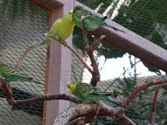 -南宫五洲植物乐园