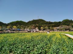 -红山村
