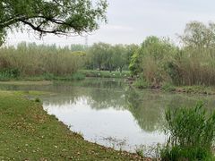 -沙家浜风景区