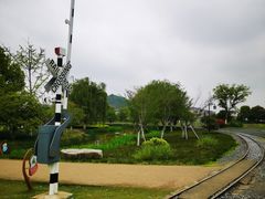 -径山花海