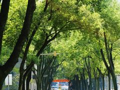 -中南财经政法大学(首义校区)