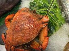 琵琶虾-盒马鲜生(和谐广场店)