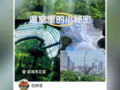 -新加坡航空公司(ION)