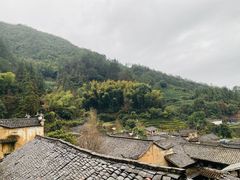 -杨家堂村